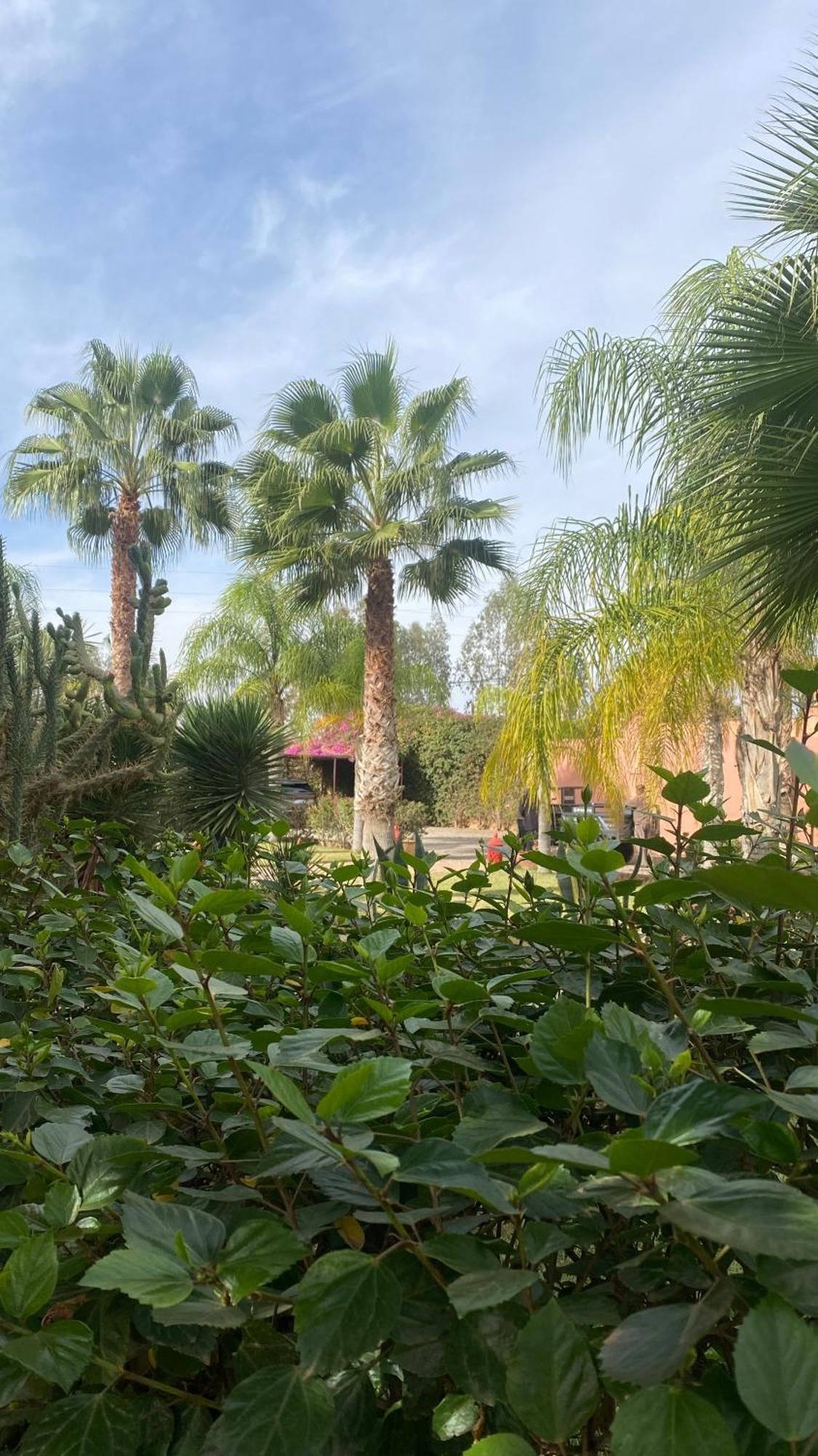Le Rubis Oriental Marrakech Ξενοδοχείο Azib Oulad Lâdem Εξωτερικό φωτογραφία